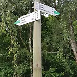 Gorzysta *