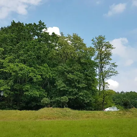 Gorzysta グダニスク