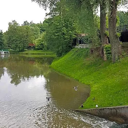 Gorzysta Hostel Gdańsk