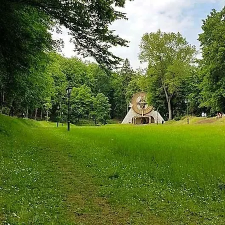 Gorzysta *