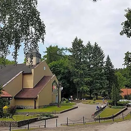 Gorzysta