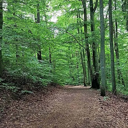 Ostello Gorzysta Danzica