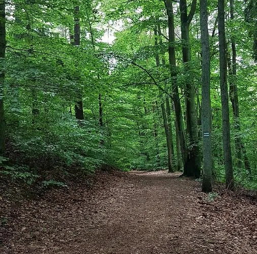 אכסניה Gorzysta *