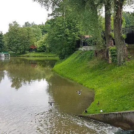 Gorzysta Auberge de jeunesse *