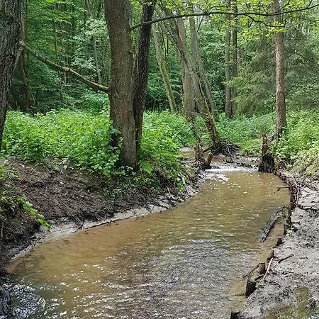 Gorzysta Auberge de jeunesse *