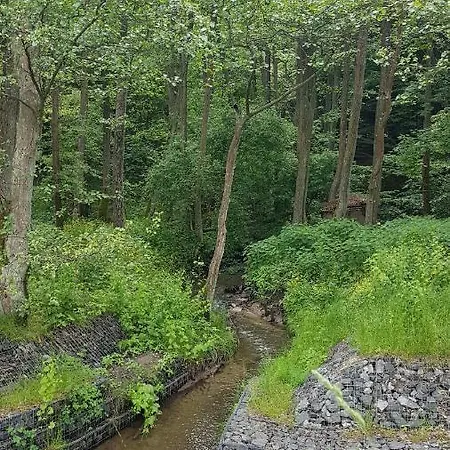 Gorzysta Auberge de jeunesse