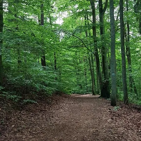 Auberge de jeunesse Gorzysta *