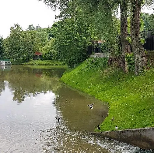 Gorzysta ホステル *