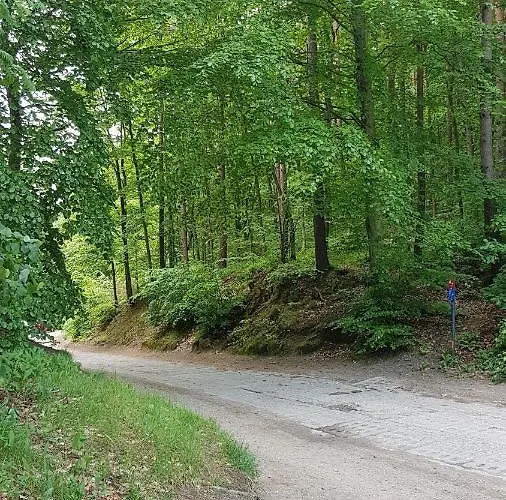 Gorzysta ホステル *