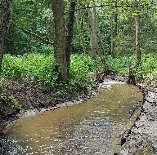 Gorzysta ホステル *